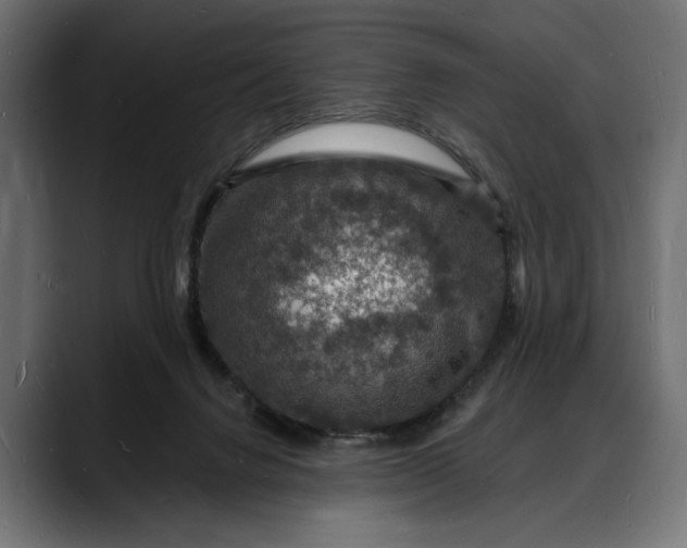 X0000088080072200705251417