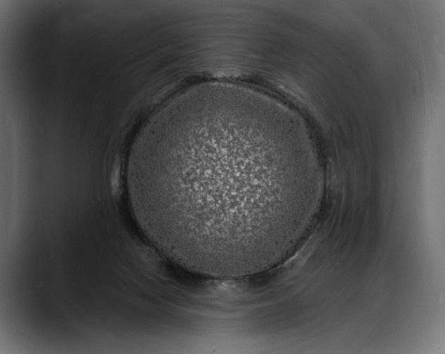 X0000088080074200705251417