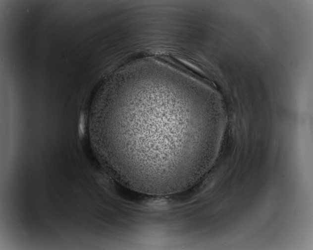 X0000088080075200705251417