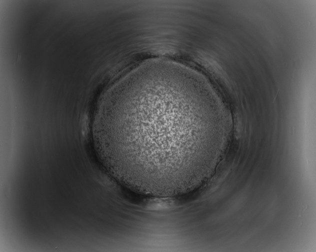 X0000088080077200705251417