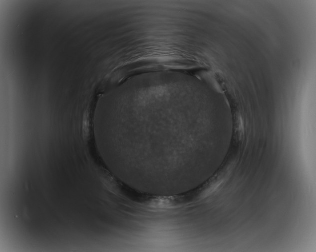 X0000088080080200705251417