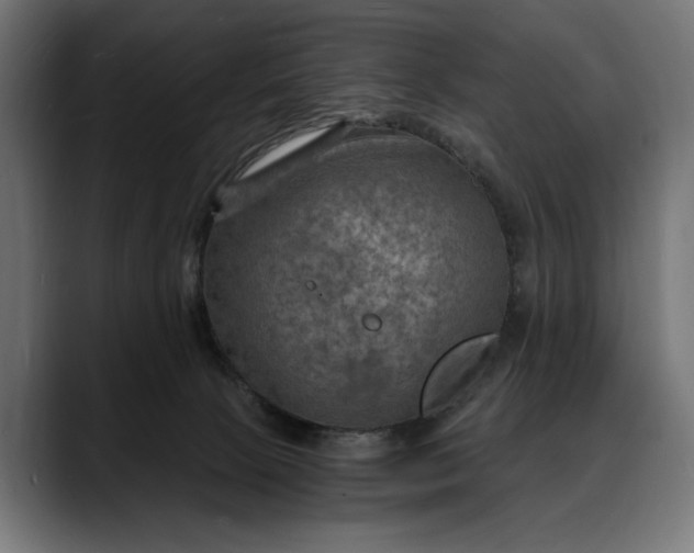 X0000088080081200705251417