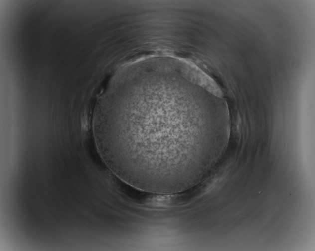X0000088080084200705251417
