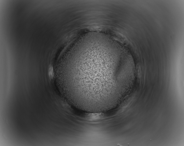 X0000088080089200705251417