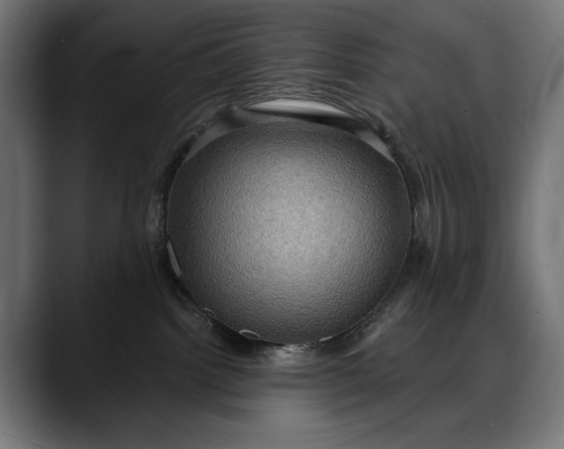 X0000088080092200705251417