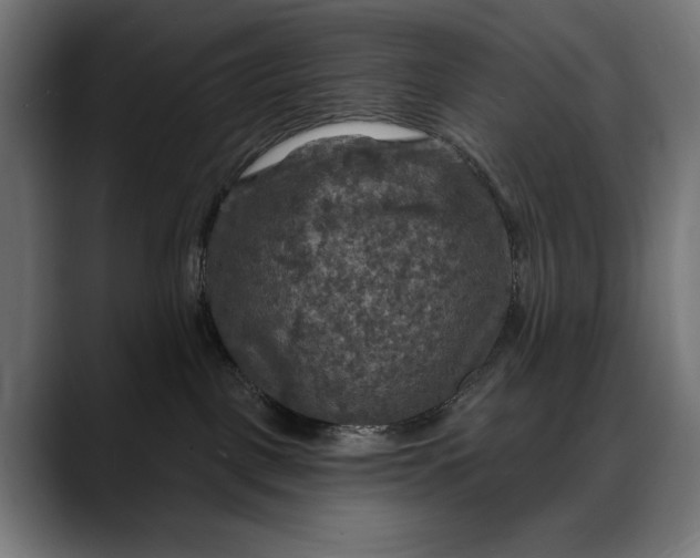 X0000088080093200705251417