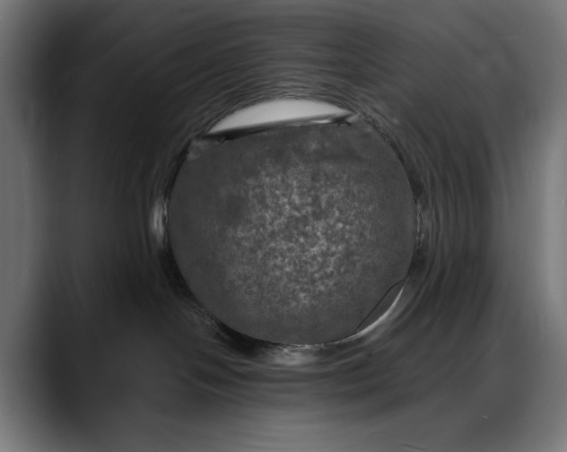 X0000088080094200705251417