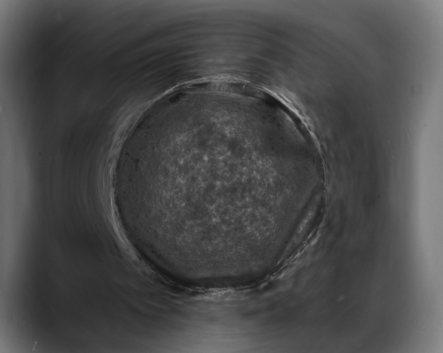X0000088080097200705251416