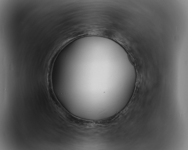 X0000088080098200705251416