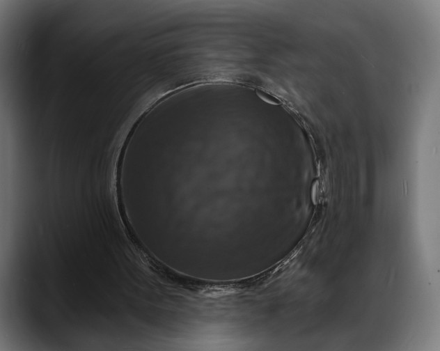 X0000088080099200705251416