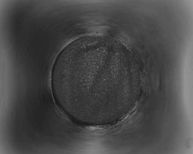 X0000088080100200705251416