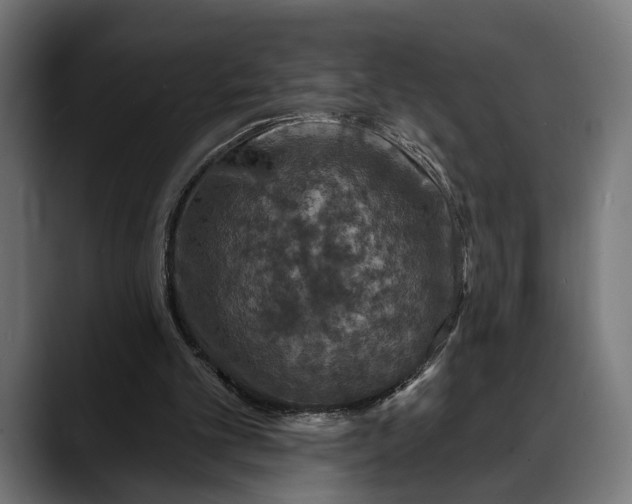 X0000088080101200705251416
