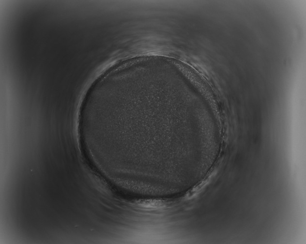 X0000088080104200705251416