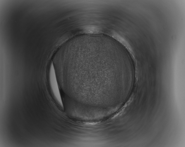 X0000088080105200705251416