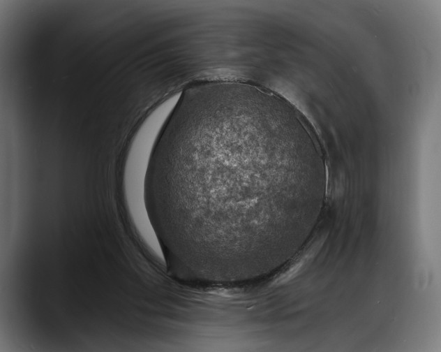 X0000088080109200705251416