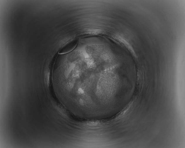 X0000088080110200705251416
