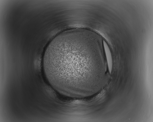 X0000088080111200705251416