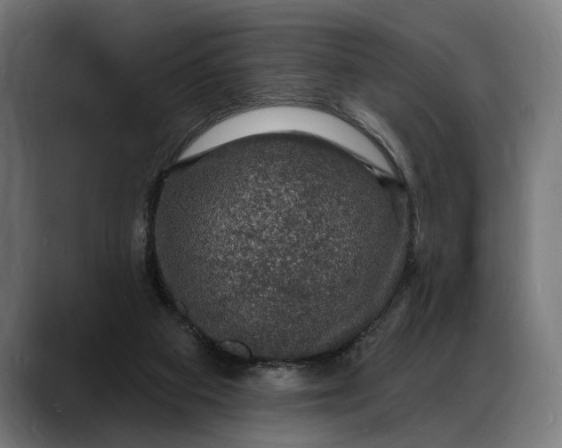 X0000088080113200705251416