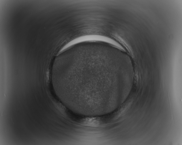 X0000088080117200705251416
