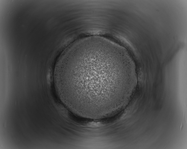 X0000088080119200705251416