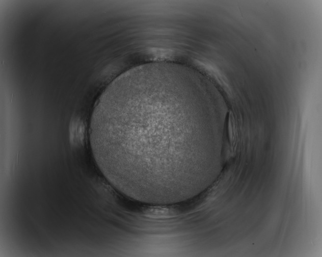 X0000088080123200705251416
