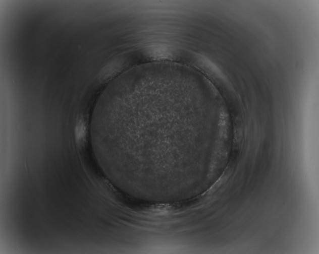 X0000088080124200705251416