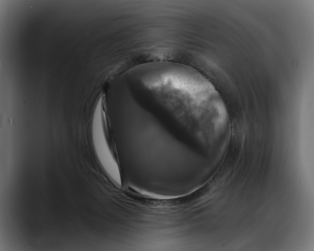 X0000088080127200705251416