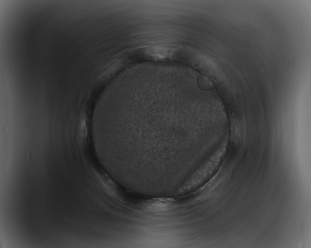 X0000088080128200705251416