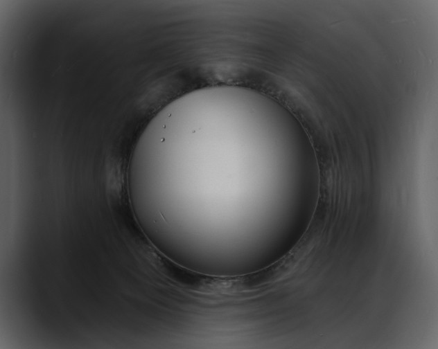X0000088080129200705251416