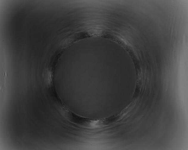 X0000088080130200705251416