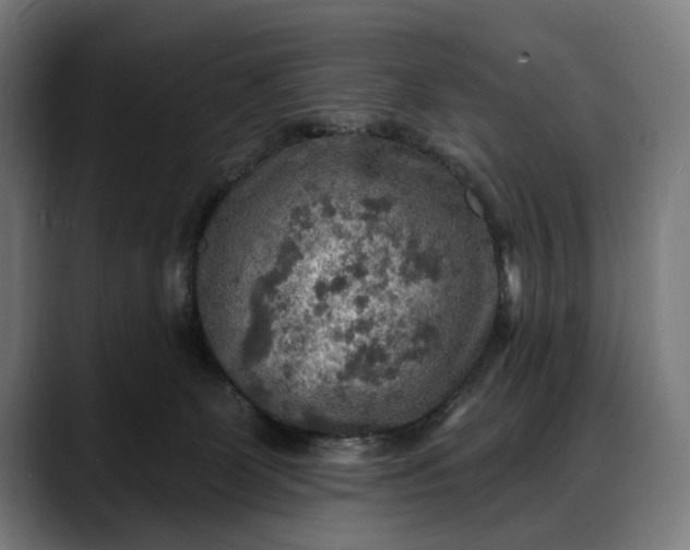 X0000088080131200705251416