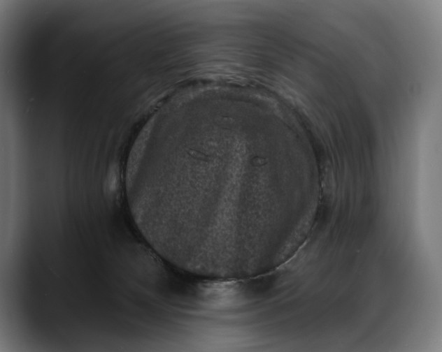 X0000088080132200705251416
