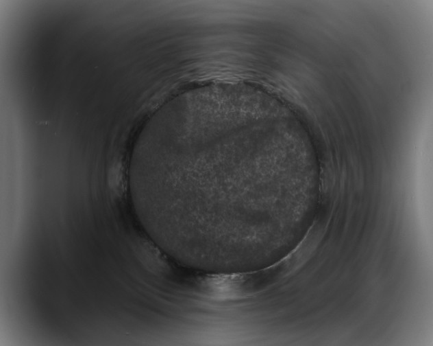 X0000088080136200705251416