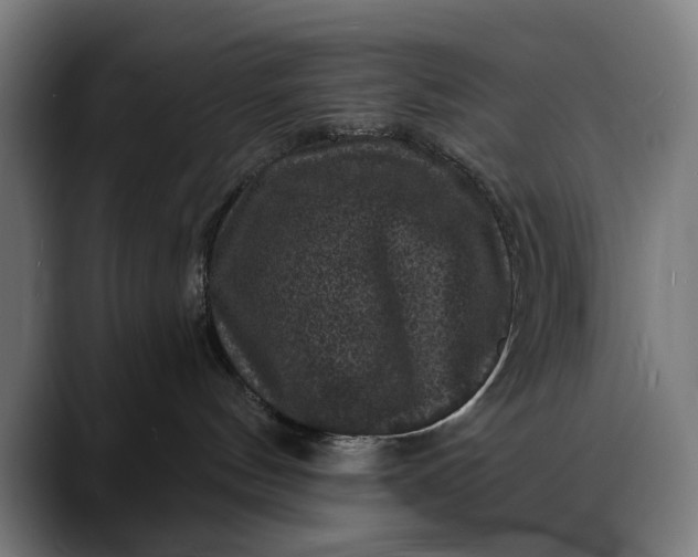 X0000088080144200705251416