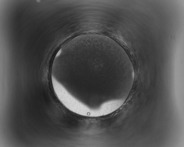 X0000088080146200705251415