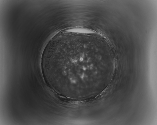 X0000088080147200705251415