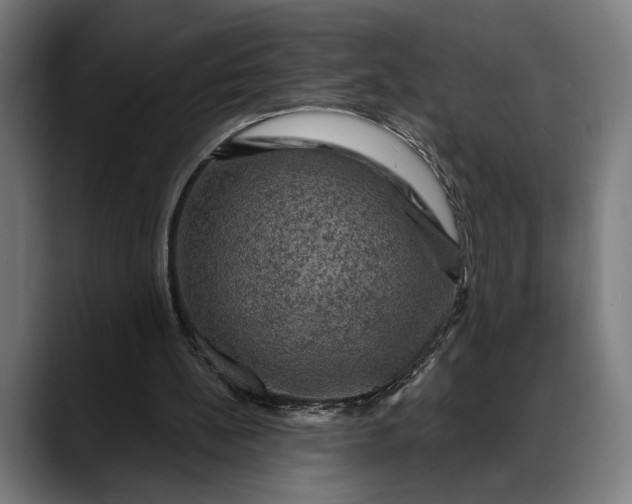 X0000088080148200705251415