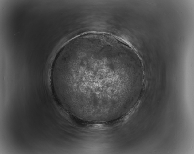 X0000088080151200705251415