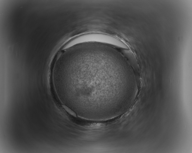 X0000088080152200705251415