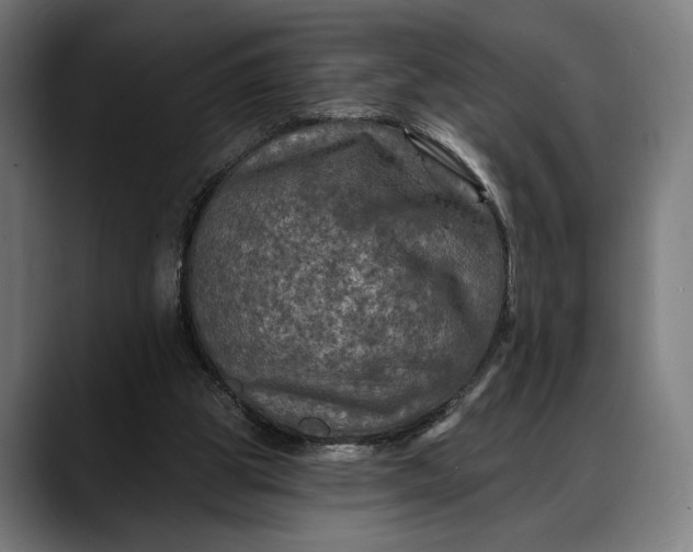 X0000088080153200705251415