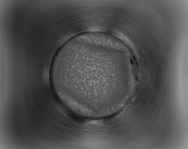 X0000088080155200705251415