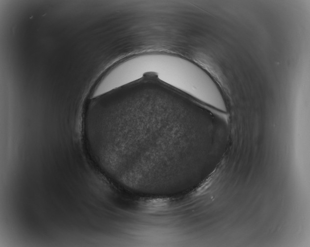 X0000088080156200705251415