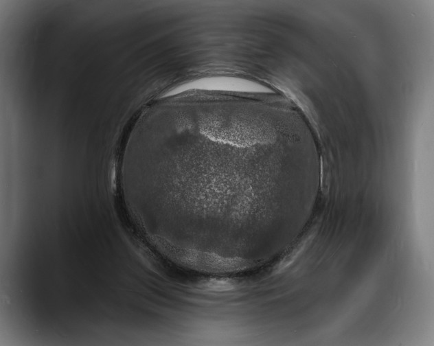 X0000088080157200705251415