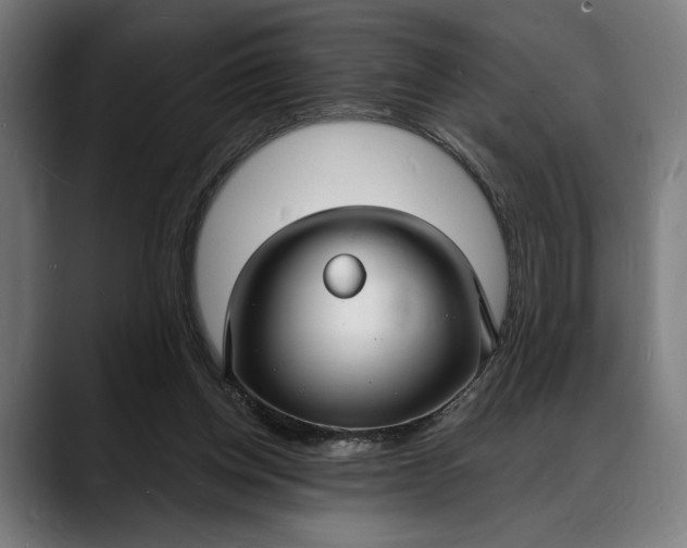 X0000088080158200705251415