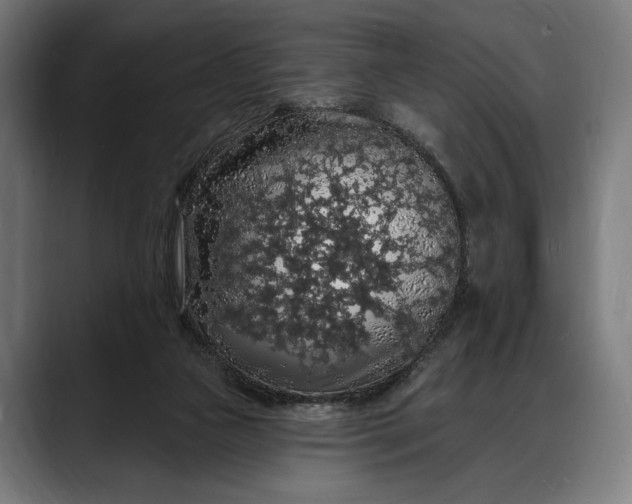 X0000088080161200705251415