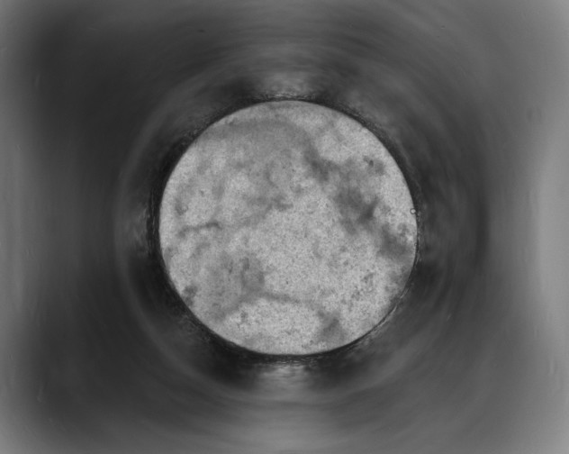 X0000088080162200705251415