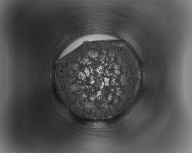 X0000088080165200705251415