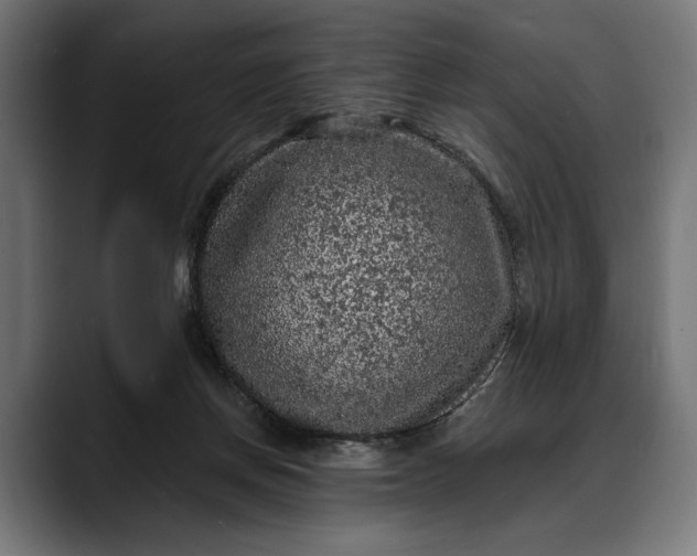 X0000088080166200705251415