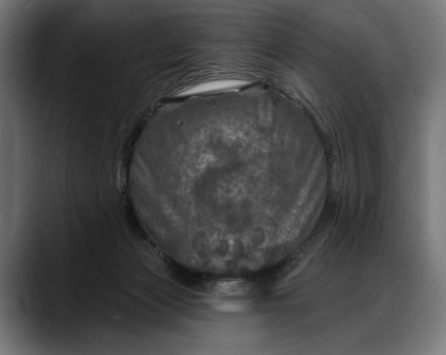 X0000088080173200705251415
