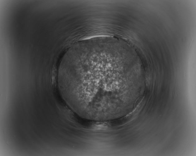 X0000088080175200705251415
